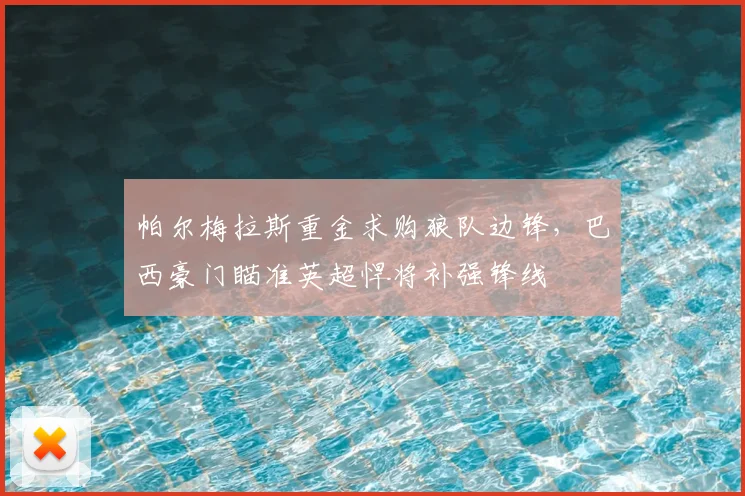 帕尔梅拉斯重金求购狼队边锋，巴西豪门瞄准英超悍将补强锋线
